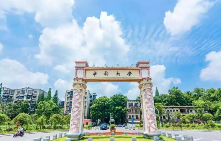 杨雨 中南大学（中南大学三位美女教授火了）