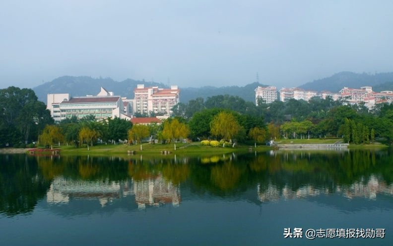 407分上厦门大学？收藏这张专业录取分数汇总表，低分可捡漏