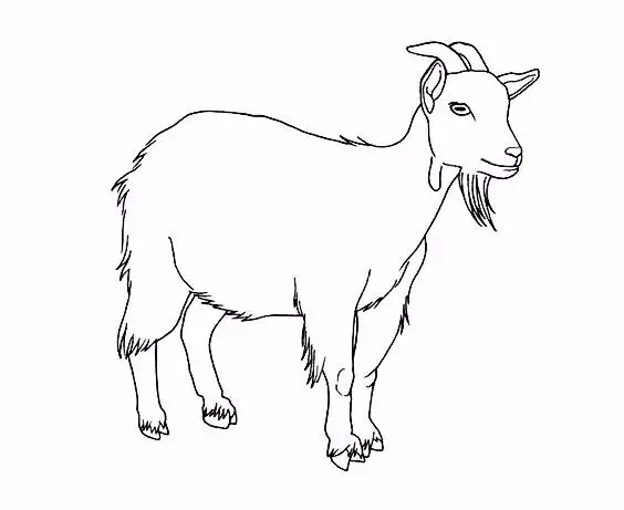 简笔画：7种山羊简笔画画法，简单易学，适合小白学习的简笔画