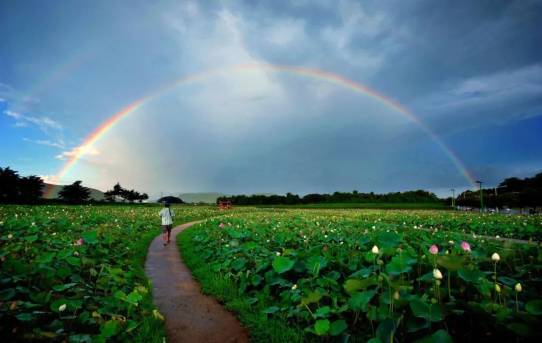 「诗词鉴赏」风雨过后见彩虹，十首有关彩虹的诗词，祝你好运连连