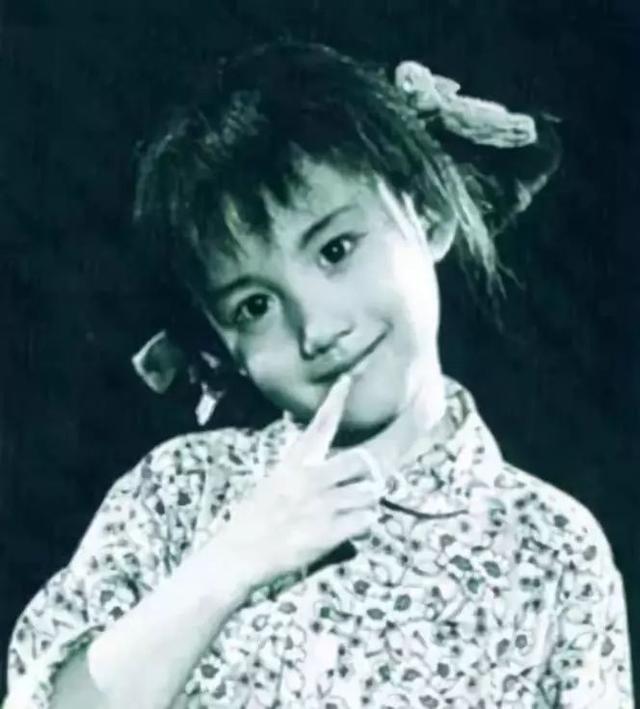 48岁黄磊从电影学院辞职被网友吐槽？这一次，“黄老师”真的冤！