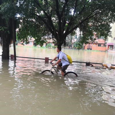暴雨季节，水中行走可能被电击致死，请看先例
