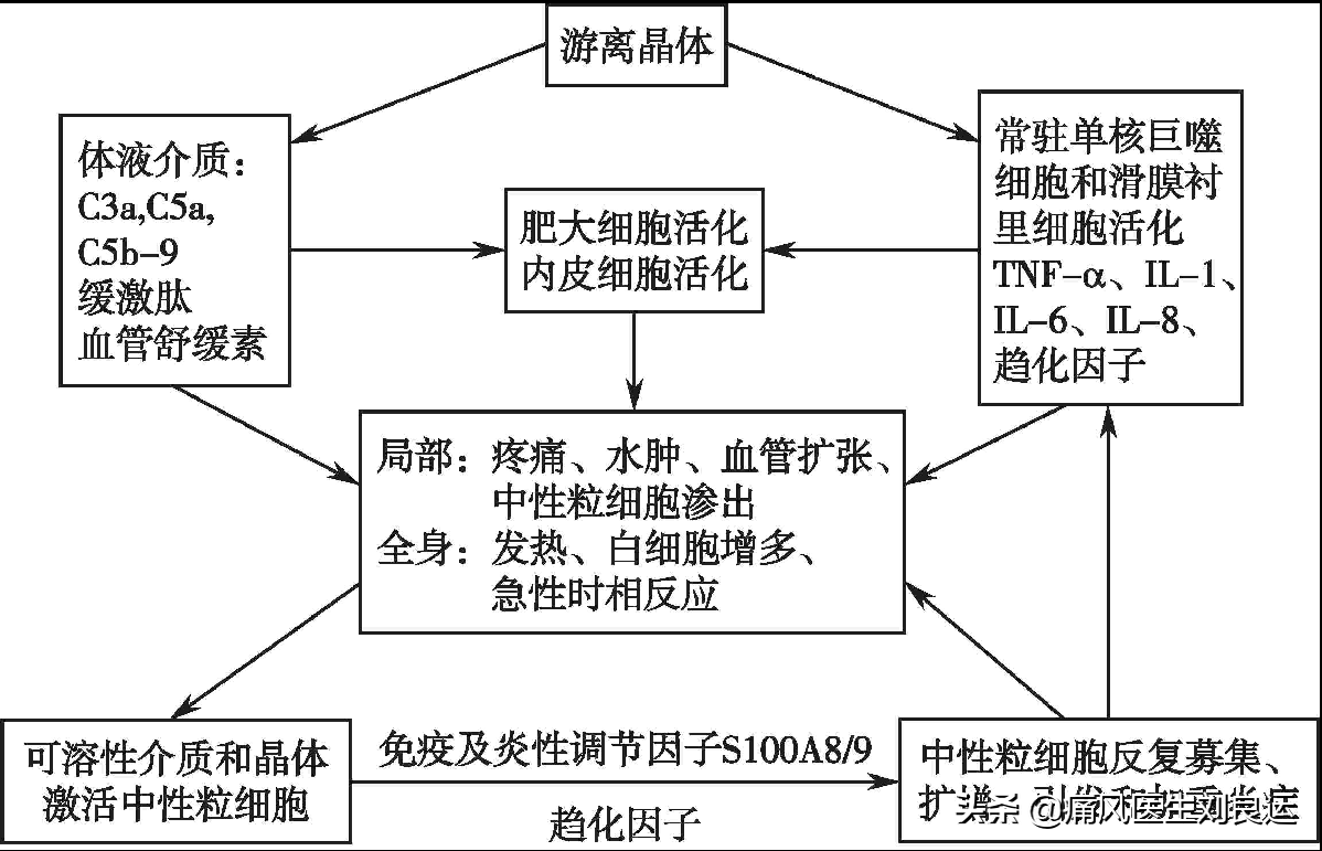 关节疼痛要消炎、镇痛和解热，止痛药和止痛膏都有副作用怎么选？