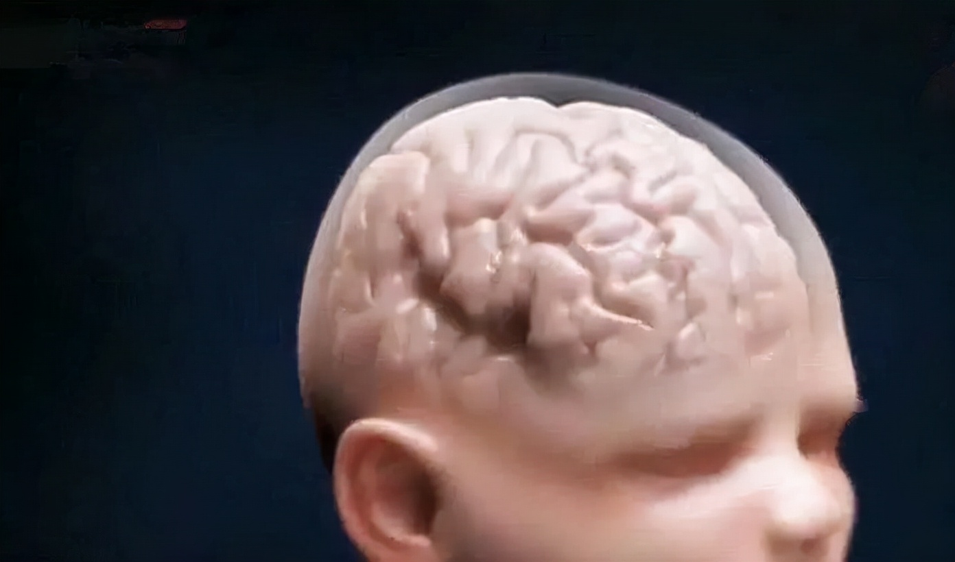 人类从小到大的记忆都有，为何3岁之前的记忆会丢失？真相揭晓