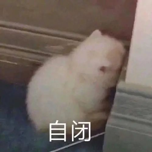 七夕节礼物（元旦七夕礼物）