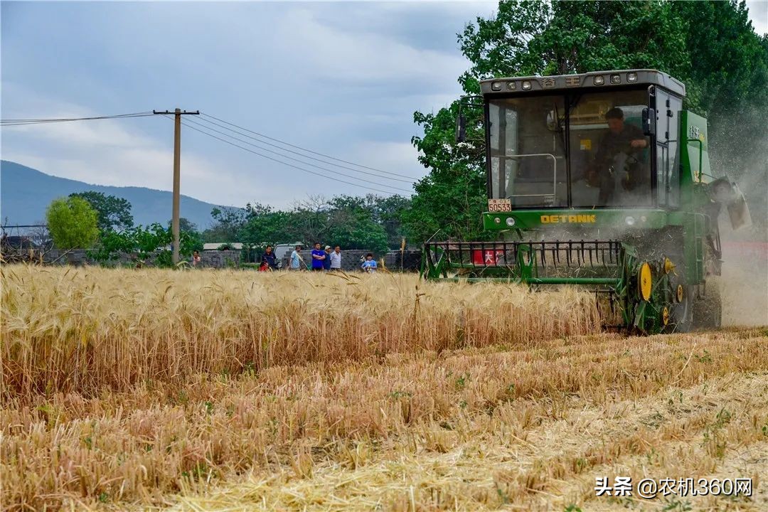 写给小麦机用户：购机时使用5大策略增加收益保障