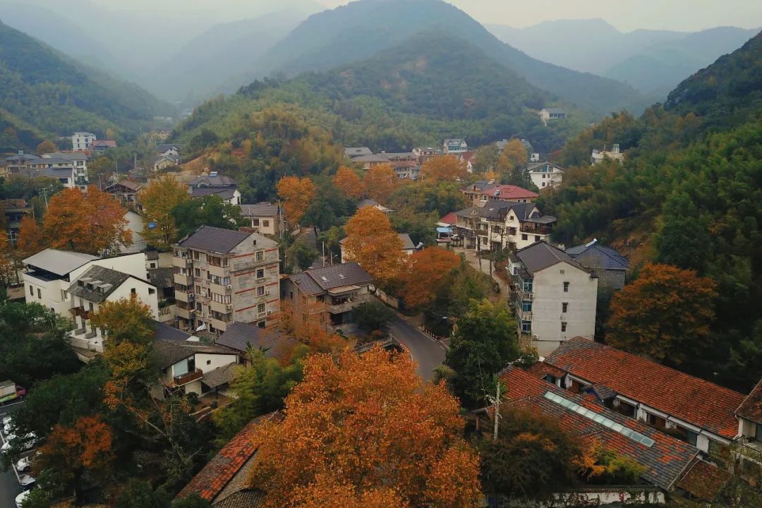 跟着诗人游浙江！大运河诗路之旅，一路有哪些必打卡的地方？
