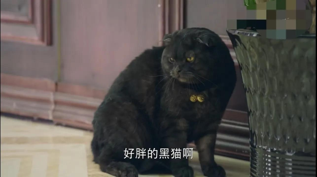 《镇魂》原著：胆小如鼠的郭长城，默默积累了拯救世界的大功德