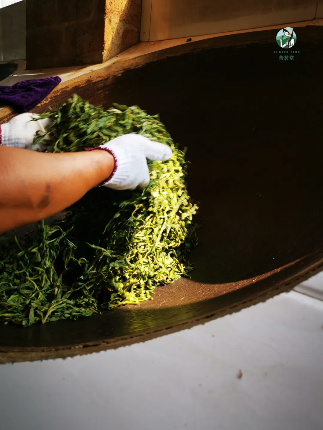 普洱茶制作工艺流程（1张图告诉你普洱茶制作流程）