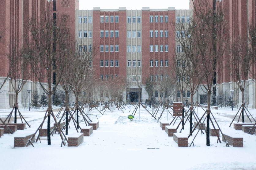 辽宁9所高校冲刺双一流，东北财经大学，中国医科大学占据C位！