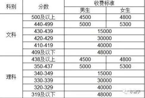 血色残阳毛坦厂（完整篇）