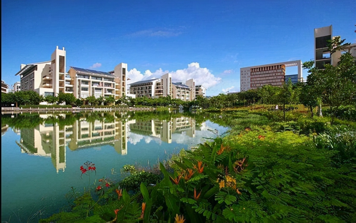 海南海洋大學(海南學子迎來好消息) - 鬱金香