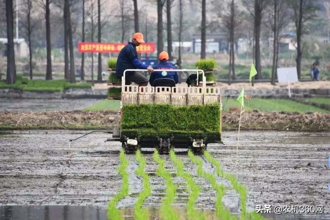 插秧機：70多個品牌，300個型號，5招教你消除選擇困難癥！