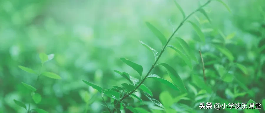 100首春天唯美古诗词（值得收藏！）