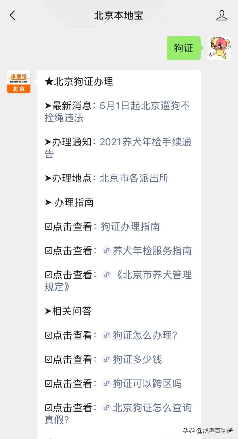 养狗人注意!这条规定与你息息相关