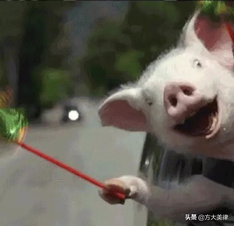 这里有份甜甜的恋爱协议书模板请查收