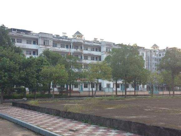 2019年安远二中高考喜报