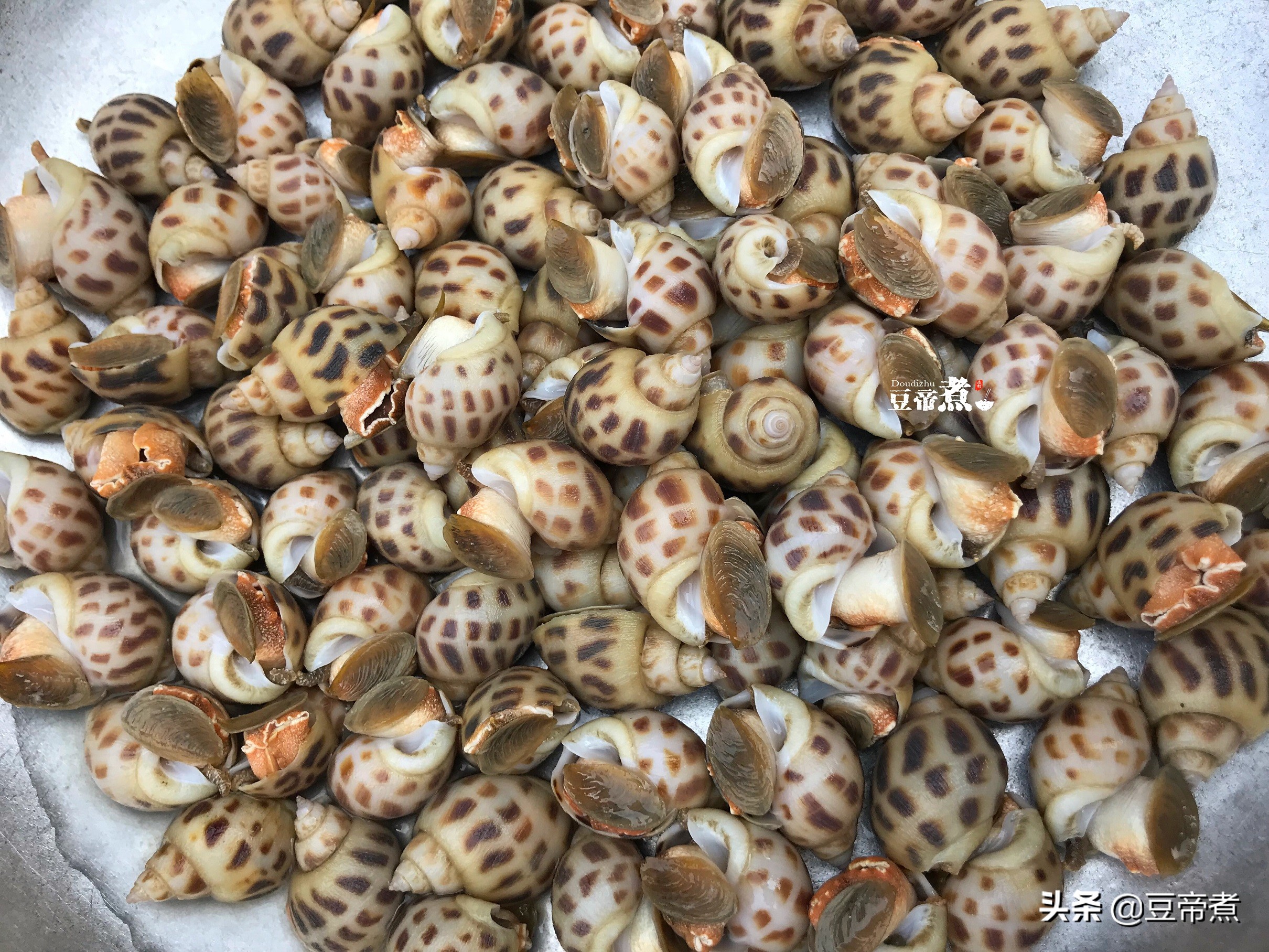 盐焗花螺
