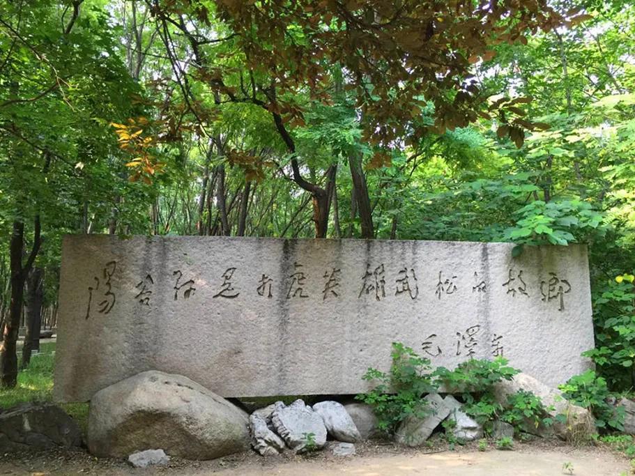 武松真的打过虎吗？阳谷景阳冈真是打虎处吗？