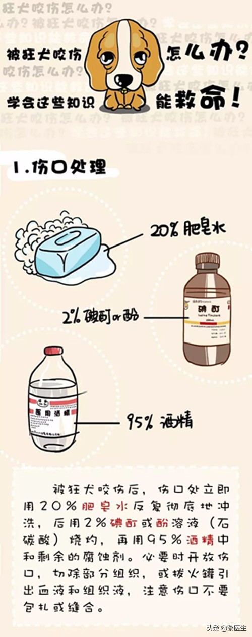 被狗咬伤了该怎样办？
