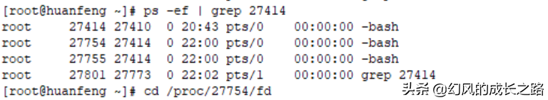 Linux操作系统一切皆文件