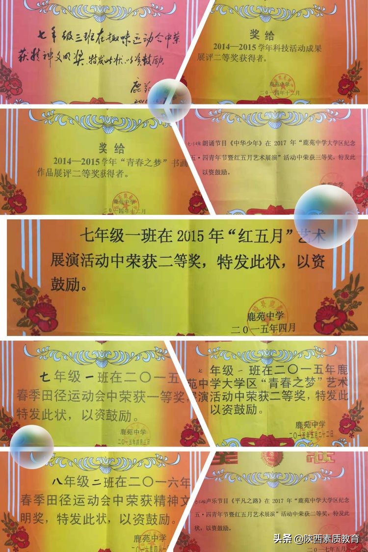 春风化雨浓 砥砺教育真——记西安市高陵区鹿苑中学教师高卓利