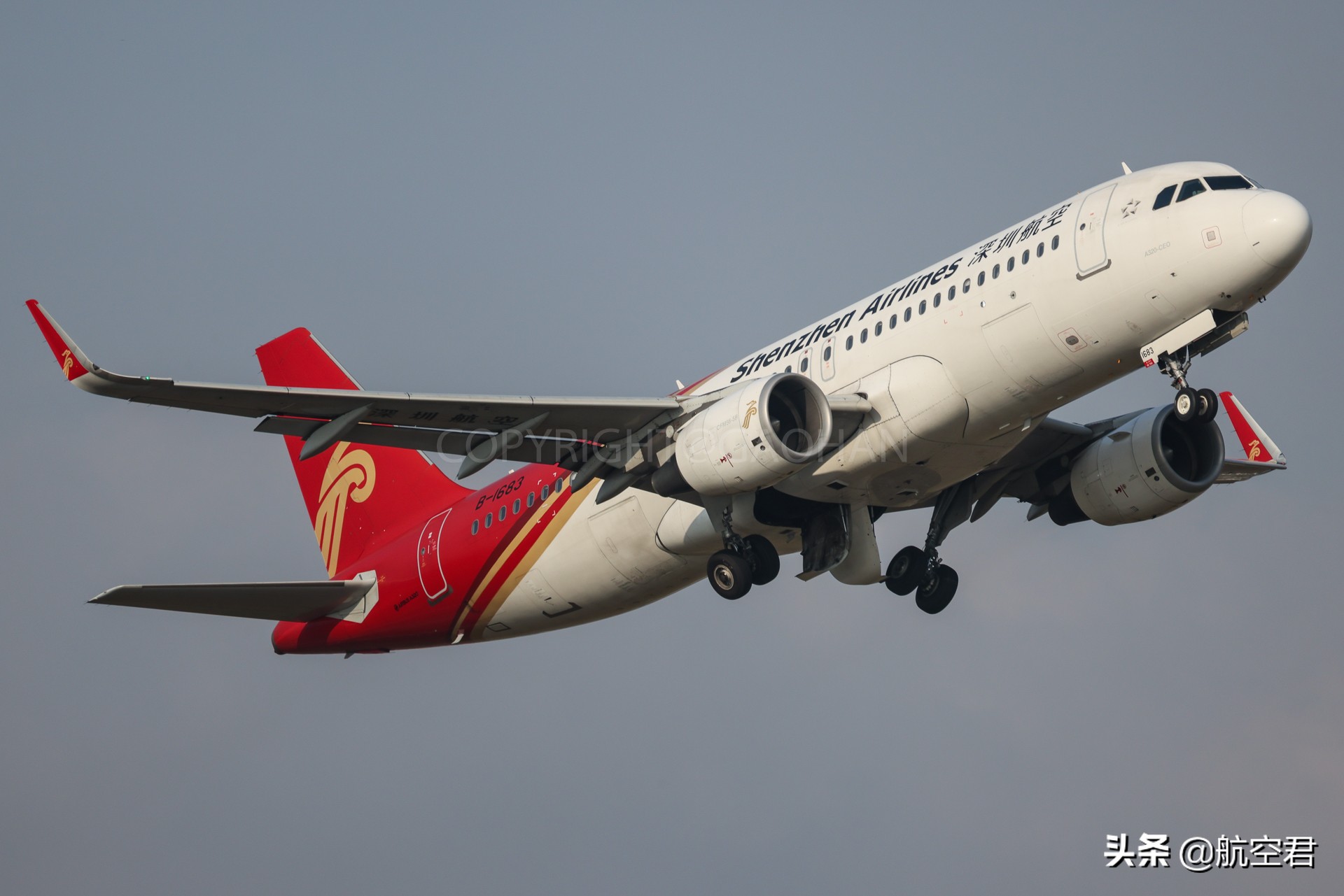 花多眼亂，這么多航空公司該怎么選？聽航空君來說說