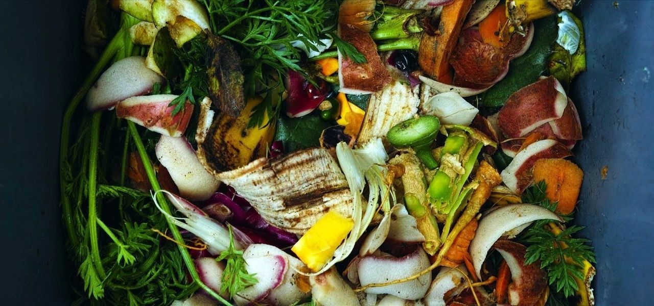 在家用垃圾桶将菜叶,果皮变成有机肥料,解答家庭堆肥常见的问题