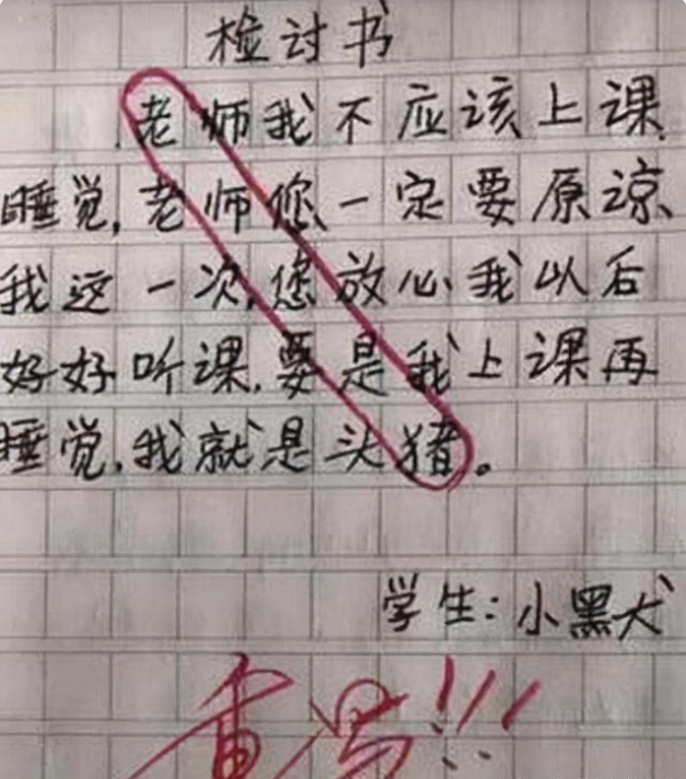 小学生“检讨书”走红，表面在反省，“藏头诗”还是被老师发现了
