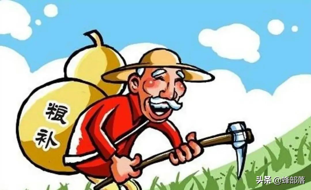 农业农村部：2021年耕地补贴1205亿，直补到户，看看哪些人受益？