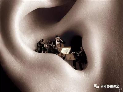 协和蒋子栋：细说耳鸣