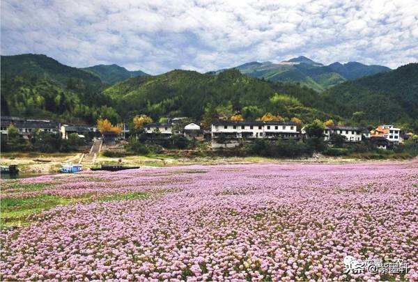 五律 赞美好乡村