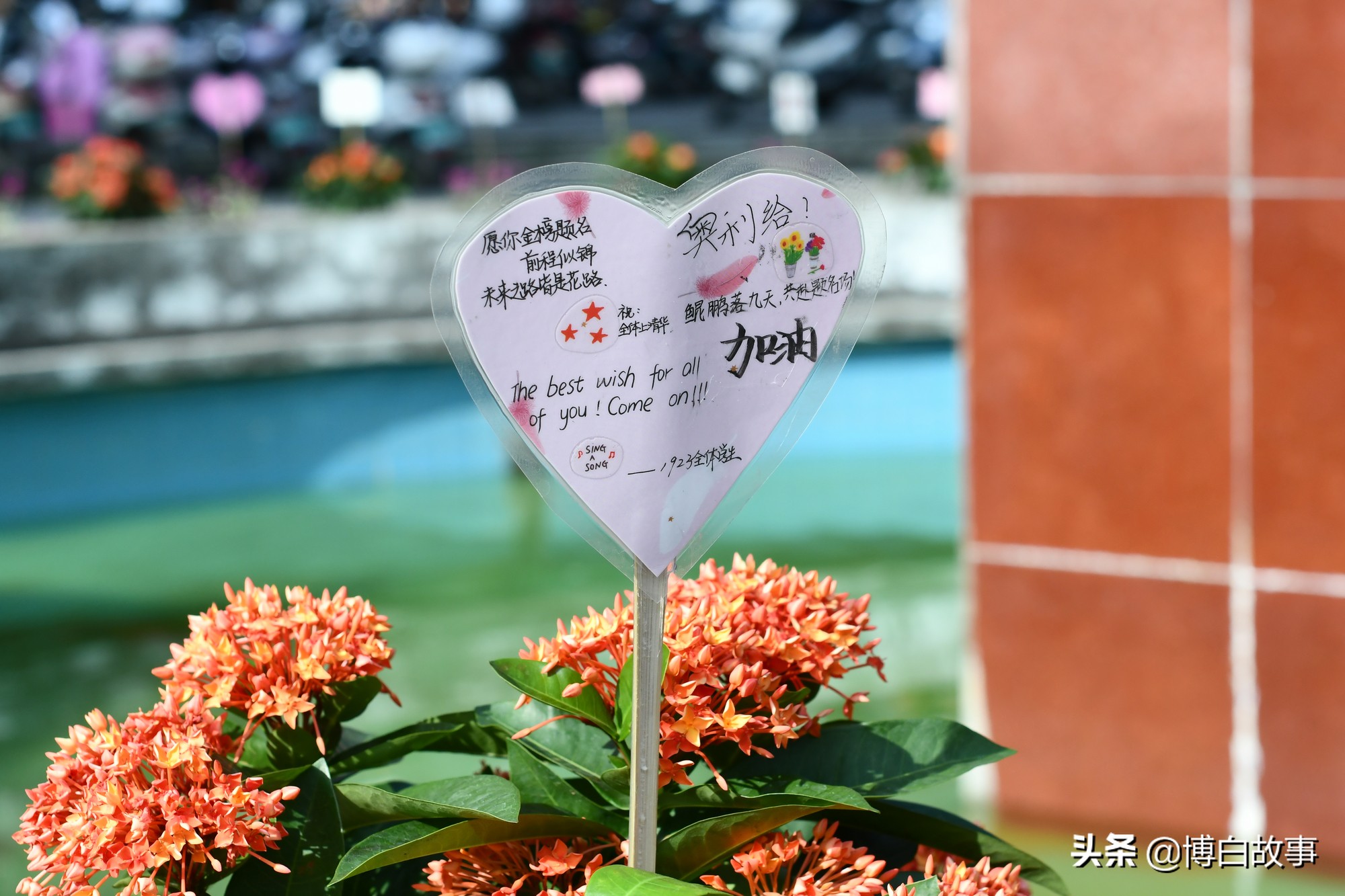 广西博白县中学做了大量工作，确保考生以最佳状态参加高考