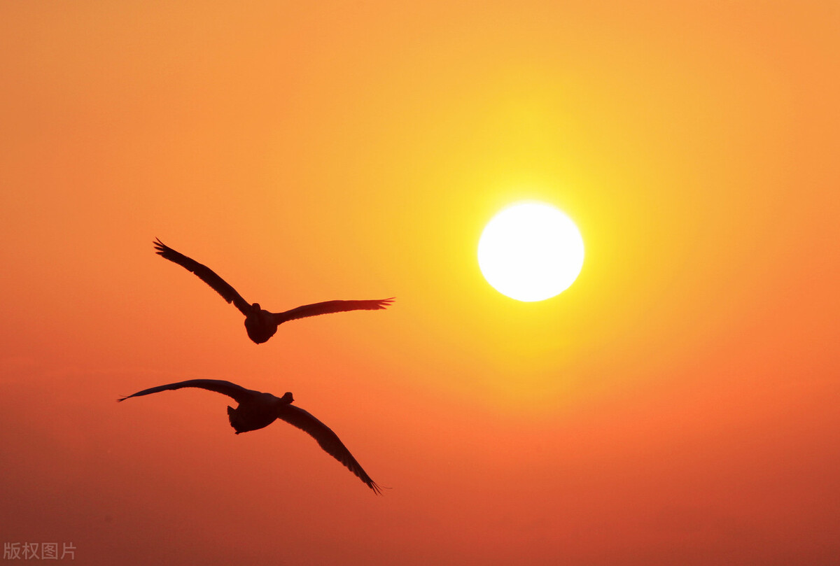 吉林高考人数减少2万人，志愿填报，还敢用位次法？