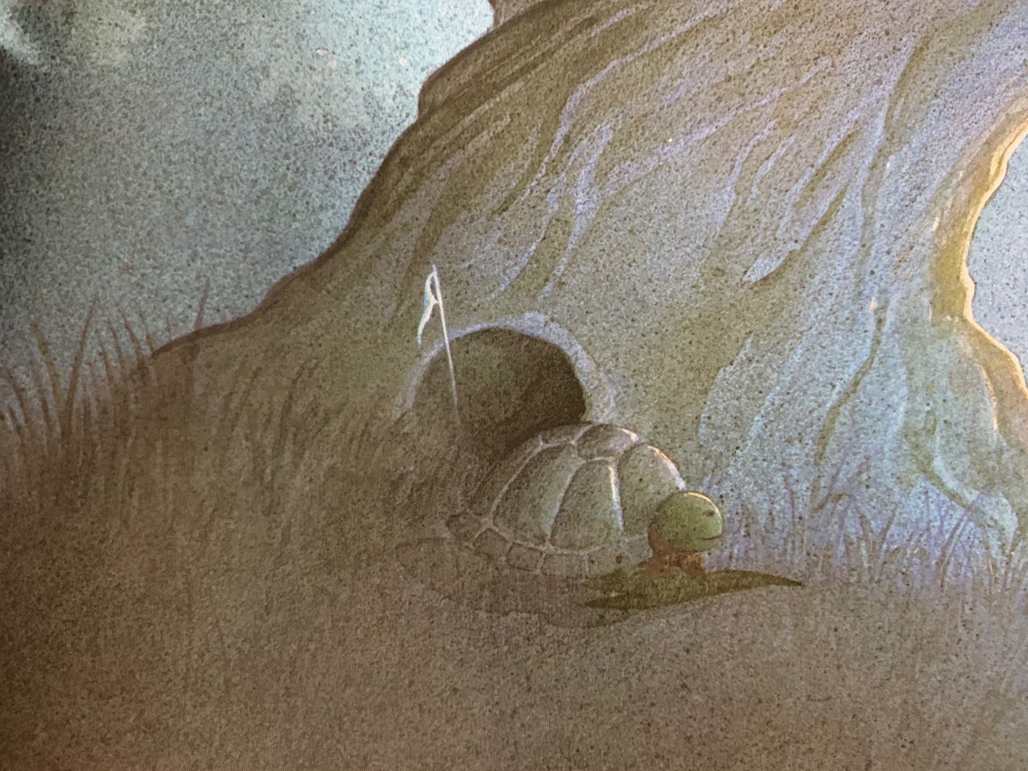 《犟龟》：一本意味深长的哲学绘本，谱写超越自我的战士之歌