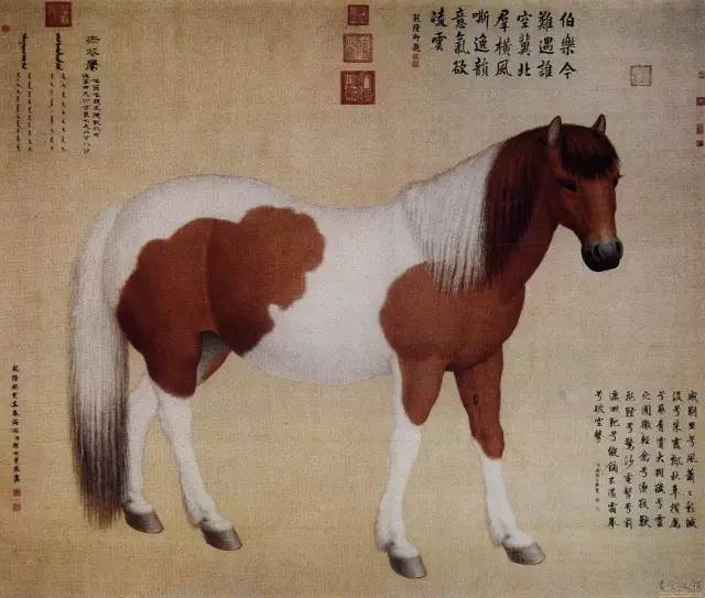 中国古今名家笔下的骏马，纵横驰骋