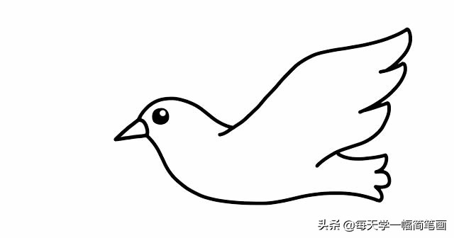 鸽子简笔画(每天学一幅简笔画--白鸽子简笔画的画法)