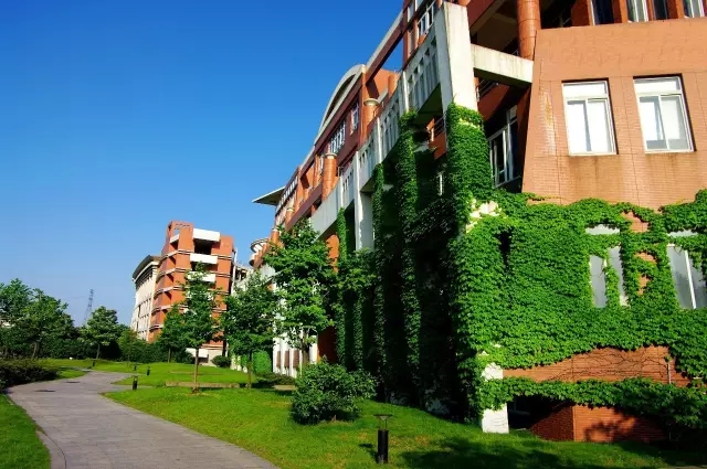 2019三位一体院校报考之中国计量大学