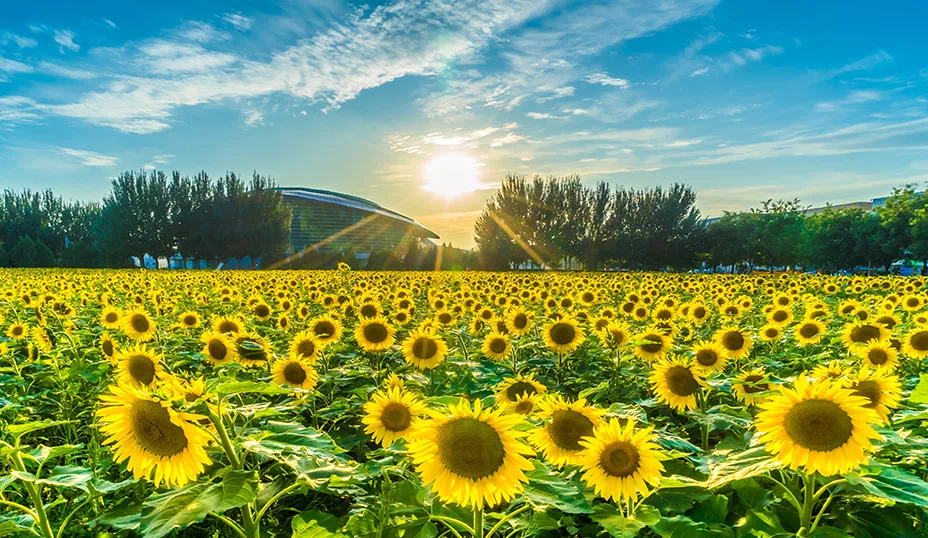 电气学科评估前十！复试线却持平国家线，是因为录取400+人吗？