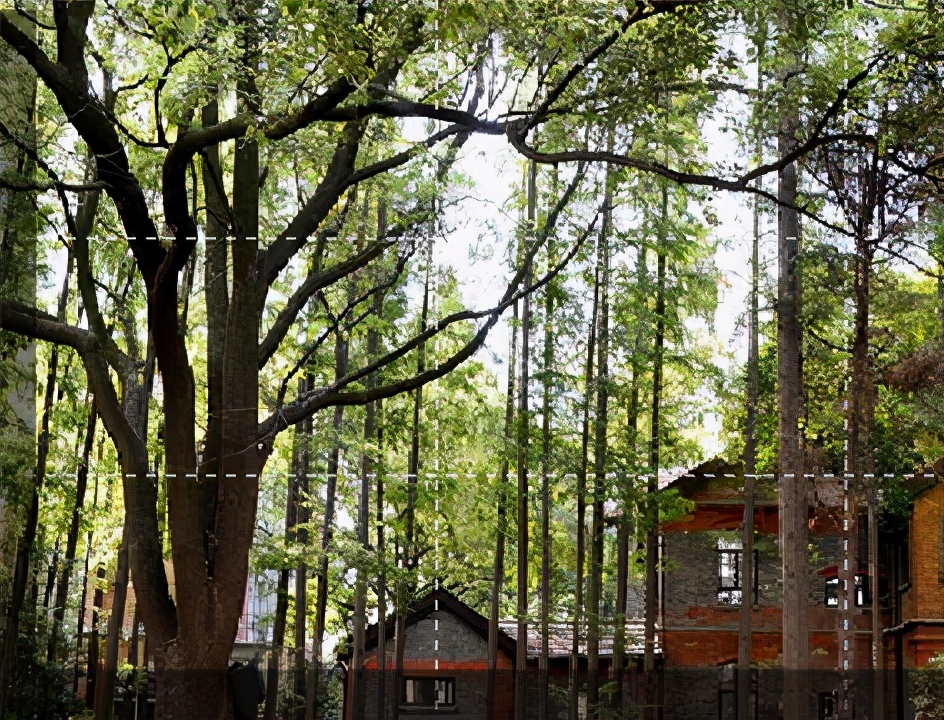 上海理工大学，这所理工类双非大学实力怎样，值得选择吗？