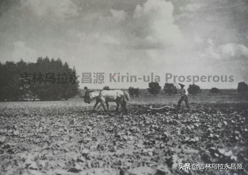 吉林俗话探源——牛马行出穷棒子