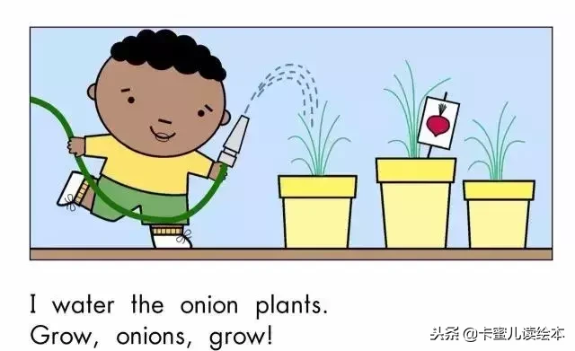 「英文有声绘本」蔬菜，快快长大《Grow,Vegetables,Grow!》