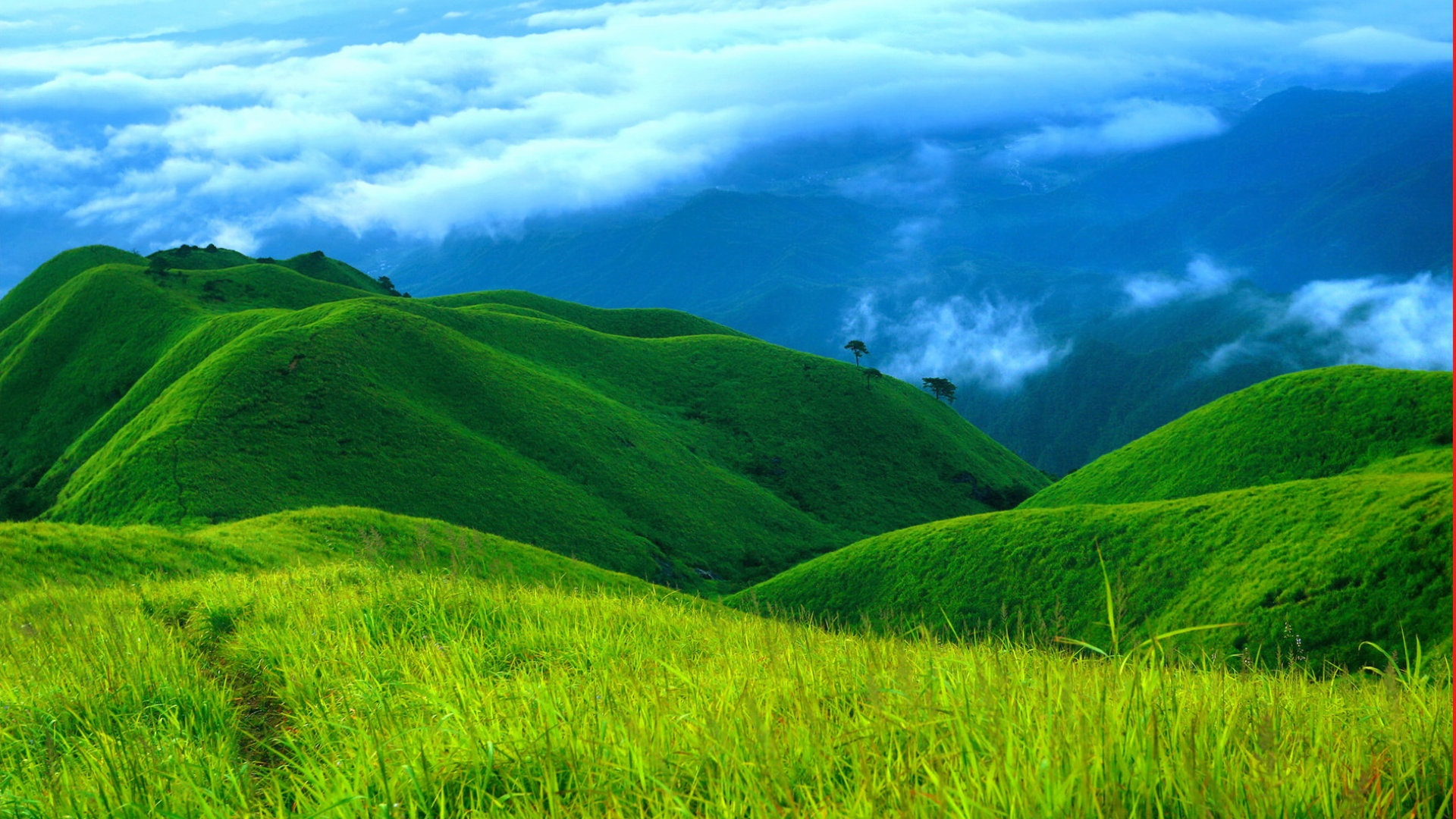 6,七绿烊,一广西阳朔出去玩才是最省心的事你