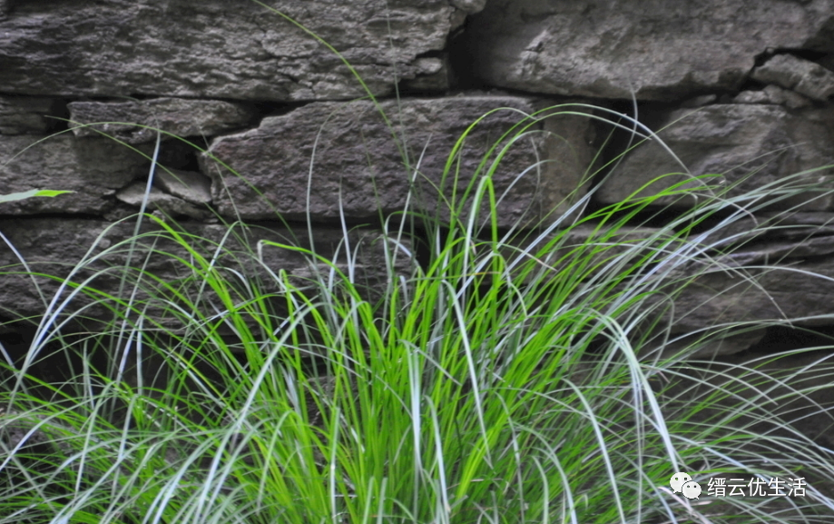 壶镇第一家工厂：溪头街中兴麻袋厂，开启壶镇工业重镇的不凡之路