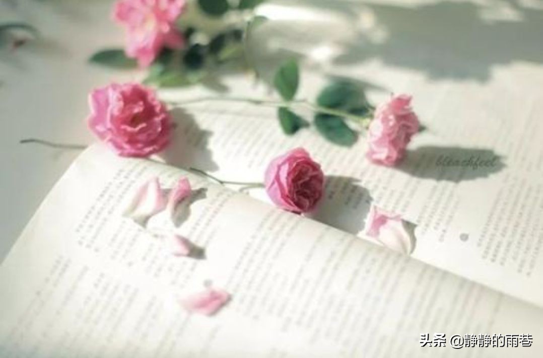 捡鸡蛋畅想曲