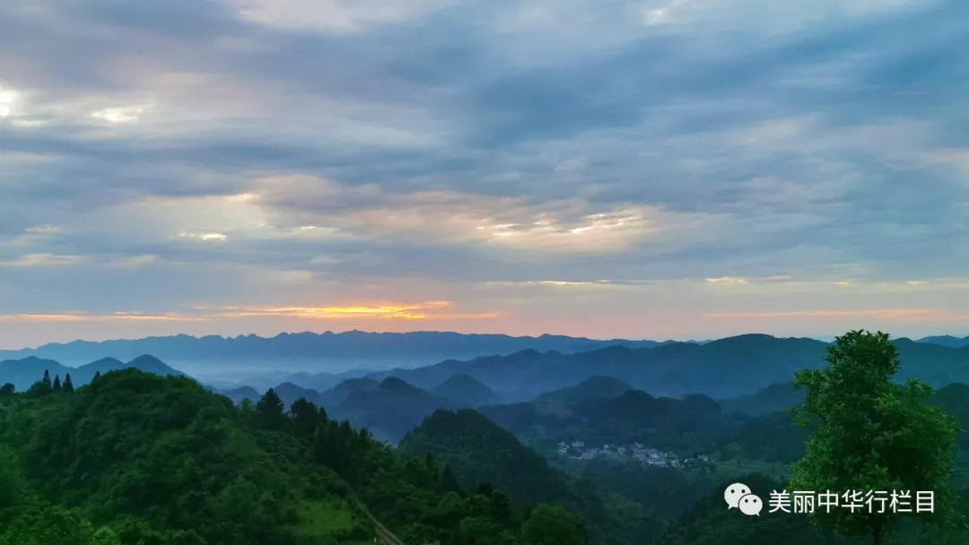 预告｜中央新影发现之旅频道本周五播出《唯念山水间 康养茶寿山》