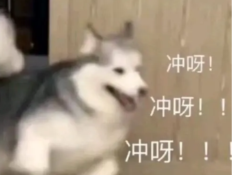 怎样才能快速地理解，掌握CPA的六门科目？