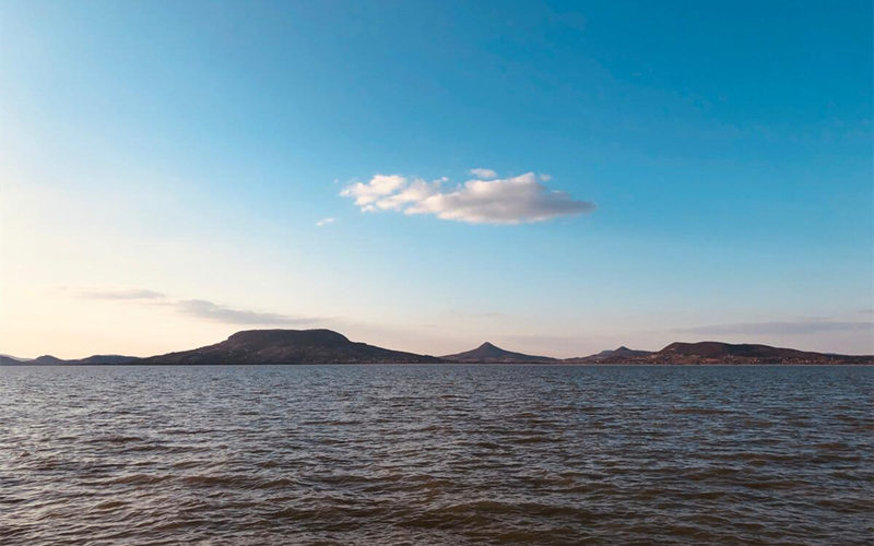 想开保安公司需要满足什么条件呢？