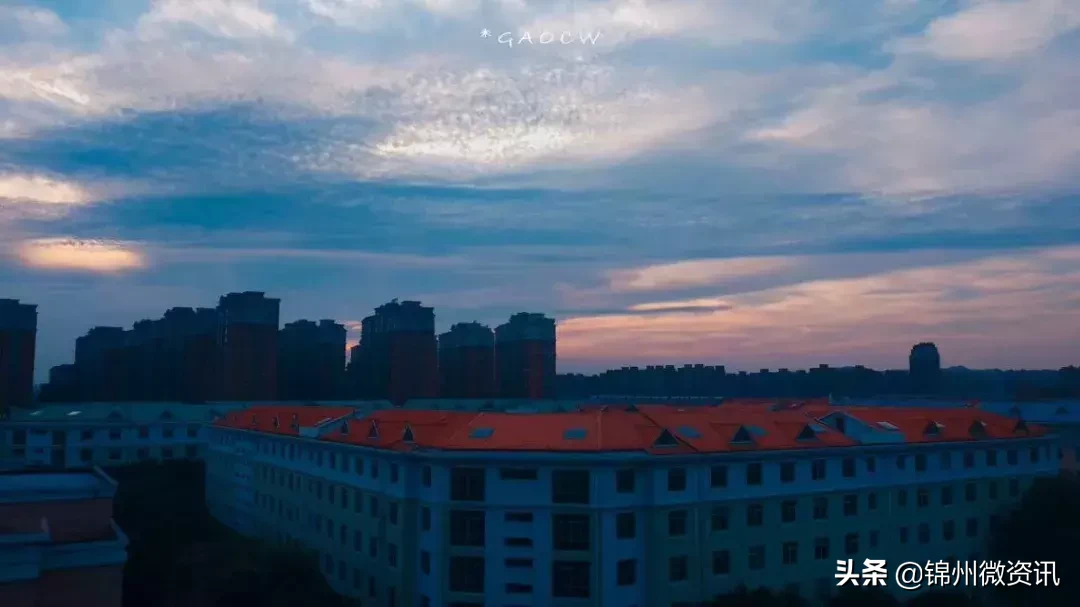 锦州渤海大学开学了！终于可以见到TA