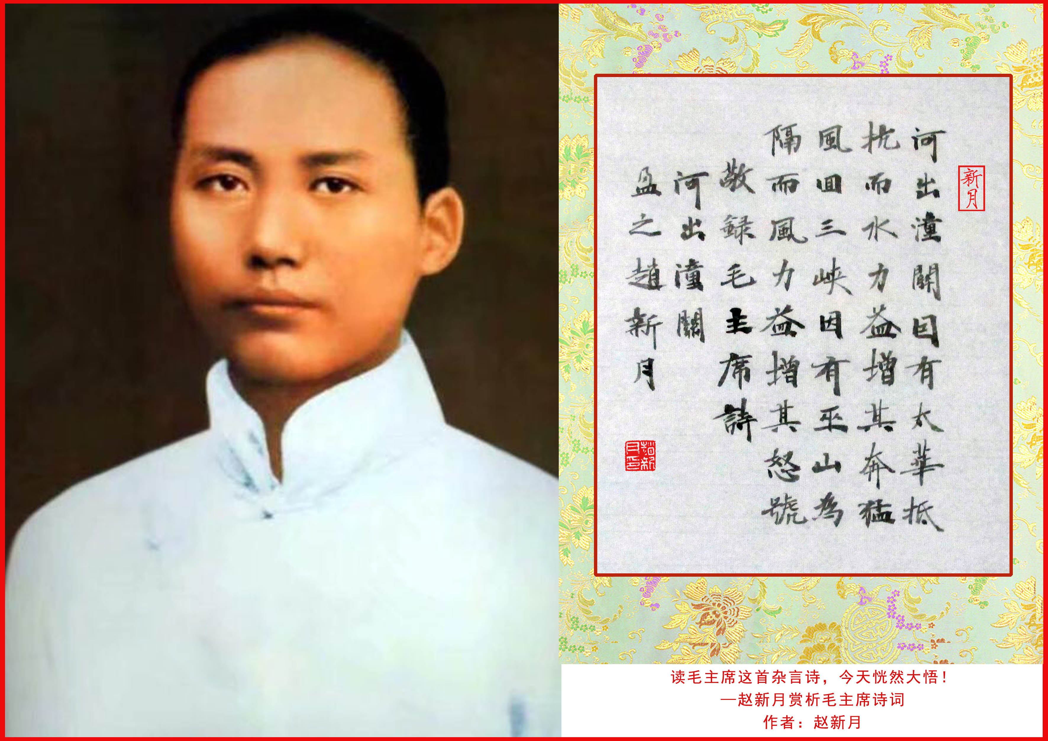 蚍蜉读音解析：从毛主席诗词中读懂“蚍蜉撼树”的深意